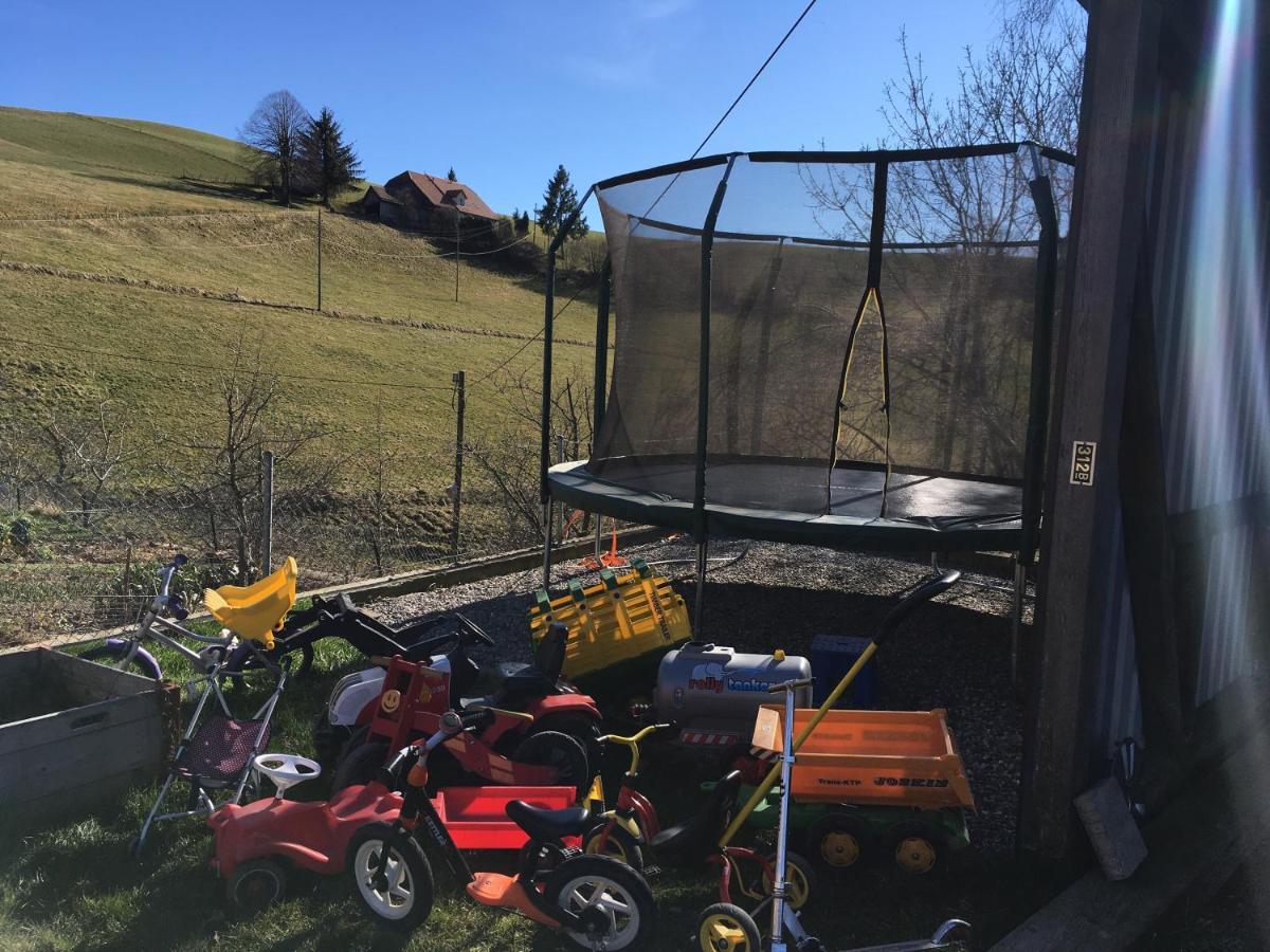 3,5 Zimmerferienwohnung Schwalbenaescht Rueeggisberg Esterno foto